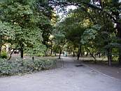 парк возле ХНУ